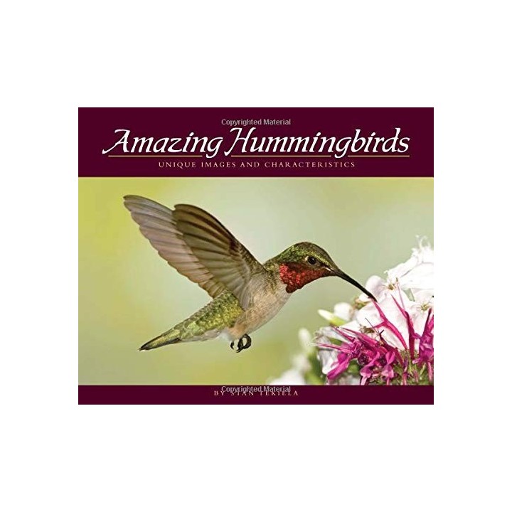 Amazing Hummingbirds: Unique Images and Characteristics (Wildlife Appreciation)